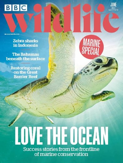 BBC Wildlife (UK) - 12 Month Subscription