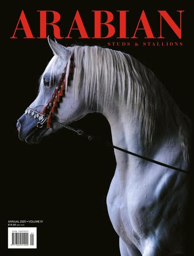 Arabian Studs and Stallions cover