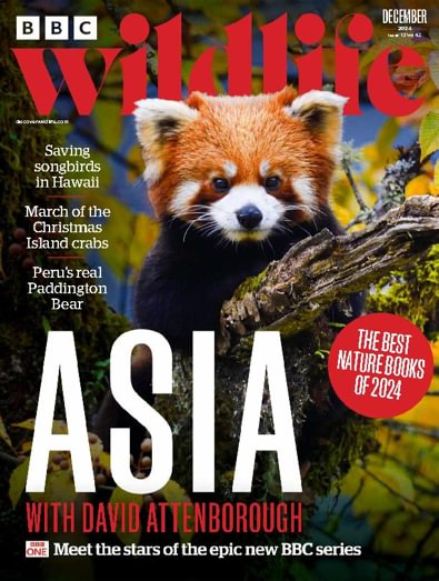 BBC Wildlife (UK) magazine cover