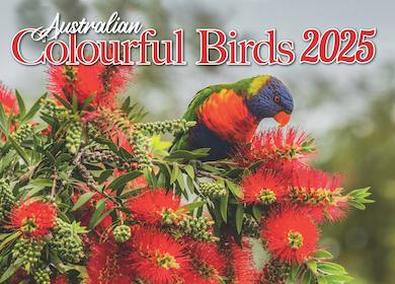 Australian Colourful Birds 2025 Calendar cover