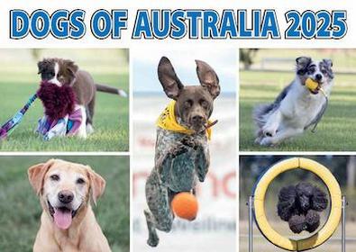 Dogs of Australia 2025 Calendar cover