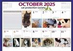 Australian Cats 2025 Calendar alternate 1