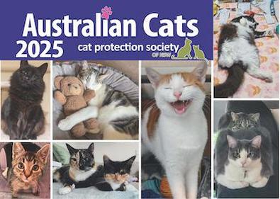 Australian Cats 2025 Calendar cover