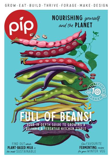 Pip Magazine cover