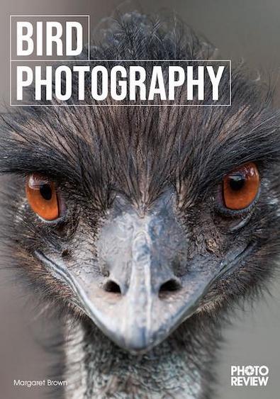 Bird Photography cover