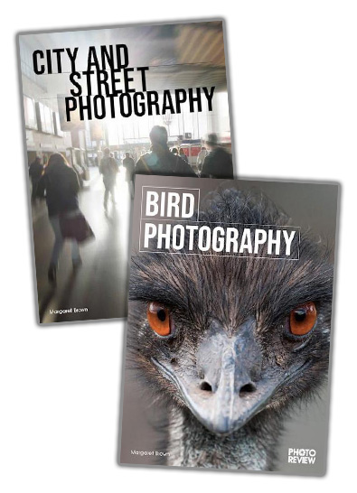 Bird Photography + City & Street Photography cover