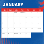 2025 NRL Newcastle Knights Calendar alternate 2