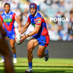 2025 NRL Newcastle Knights Calendar alternate 1