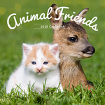 2025 Animal Friends Calendar thumbnail