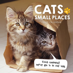 2025 Cats in Small Places Calendar thumbnail