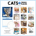 2025 Cats in Small Places Calendar alternate 3