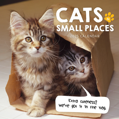 2025 Cats in Small Places Calendar cover