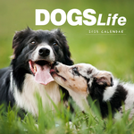 2025 Dogs Life Calendar thumbnail