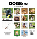 2025 Dogs Life Calendar alternate 3