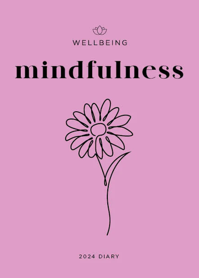 2025 Wellbeing Mindfulness Diary cover