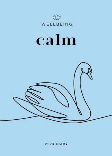 2025 Wellbeing Calm Diary cover