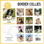 2025 Border Collies Calendar alternate 3