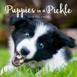 2025 Puppies in a Pickle Calendar thumbnail