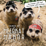 2025 Gangs of Meerkat Manor Calendar thumbnail