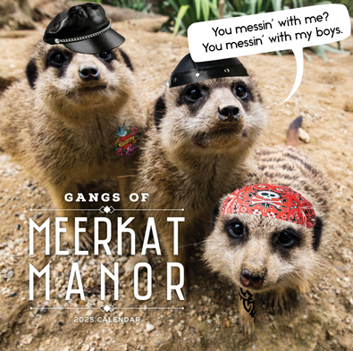 2025 Gangs of Meerkat Manor Calendar cover