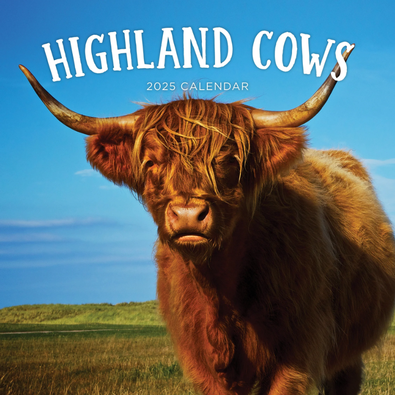 2025 Highland Cows Calendar cover