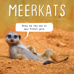 2025 Meerkats Calendar thumbnail