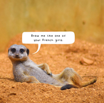 2025 Meerkats Calendar alternate 1