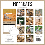 2025 Meerkats Calendar alternate 3