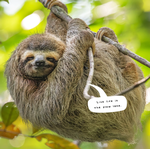 2025 Sloths Calendar alternate 1