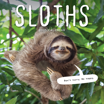 2025 Sloths Calendar cover