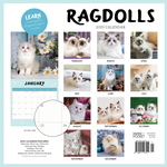 2025 Ragdolls Calendar alternate 3