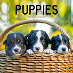 2025 Puppies Calendar thumbnail