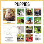 2025 Puppies Calendar alternate 3