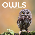 2025 Owls Calendar thumbnail