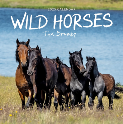 2025 Our Australia Wild Horses Calendar cover