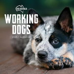 2025 Our Australia Working Dogs Calendar thumbnail