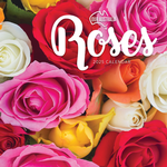 2025 Our Australia Roses Calendar thumbnail