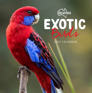 2025 Our Australia Exotic Birds Calendar cover