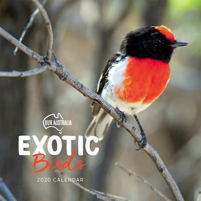 Our Australia Exotic Birds 2020 Calendar - isubscribe.com.au