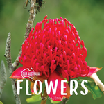 2025 Our Australia Flowers Calendar thumbnail