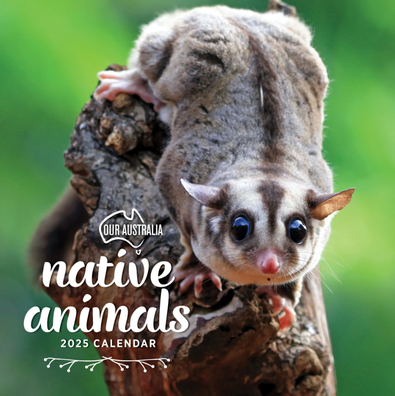 2025 Our Australia Native Animals Calendar cover