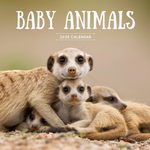 2025 Baby Animals Calendar thumbnail