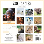 2025 Zoo Babies Calendar alternate 3