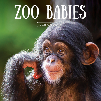 2025 Zoo Babies Calendar cover