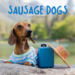 2025 Sausage Dogs Calendar thumbnail