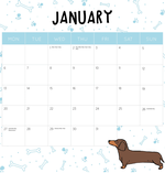 2025 Sausage Dogs Calendar alternate 2