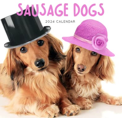 2024 Sausage Dogs Calendar cover