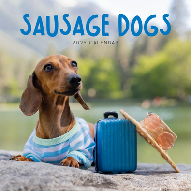 2025 Sausage Dogs Calendar cover