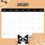 2025 Snappy Cat Calendar alternate 2