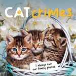 2025 Cat Crimes Calendar thumbnail